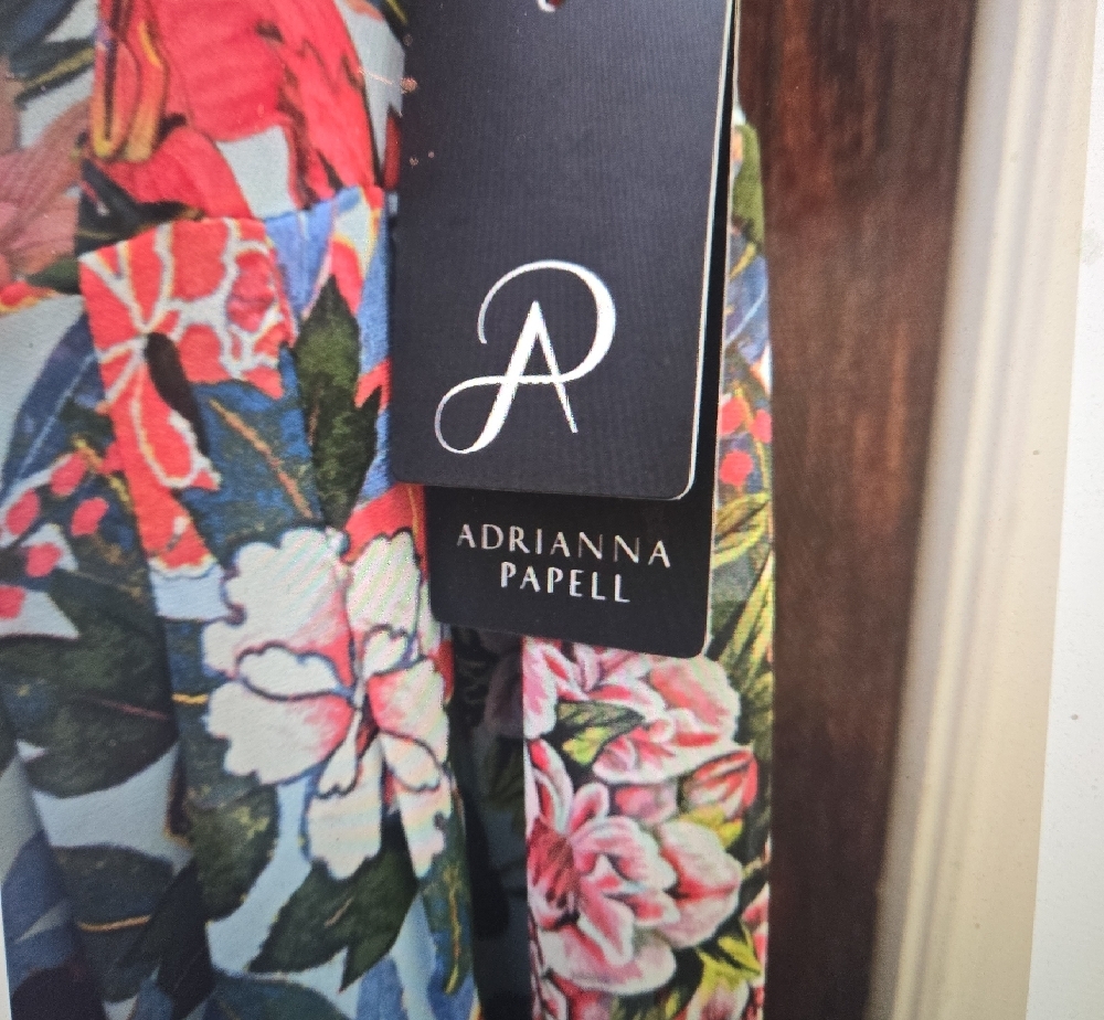 Adrianna Papell Floral Maxi Dress in Blue with Multicolor Bouquet - Picture 5 of 10